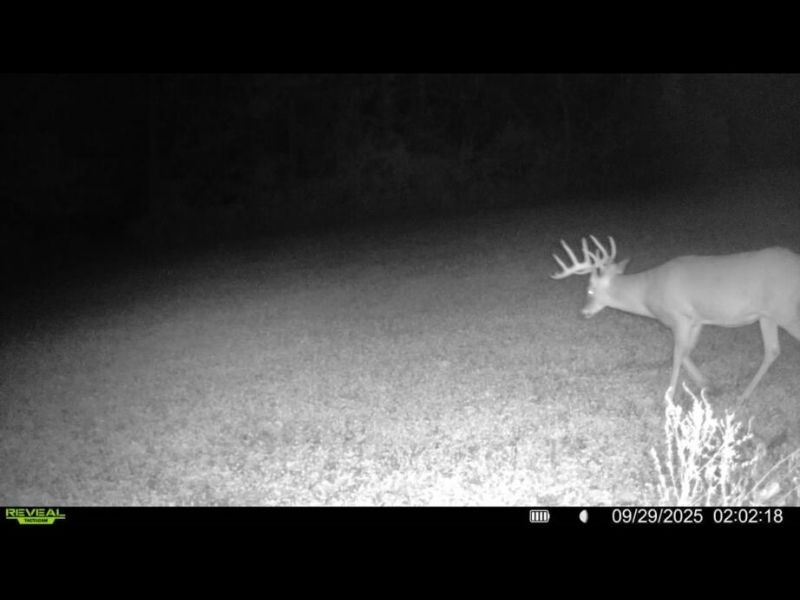 0 County Road 5 , Zanesfield, OH 43360 Photo 130