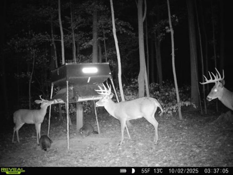 0 County Road 5 , Zanesfield, OH 43360 Photo 131