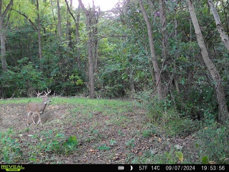 0 County Road 5 , Zanesfield, OH 43360 Photo 132
