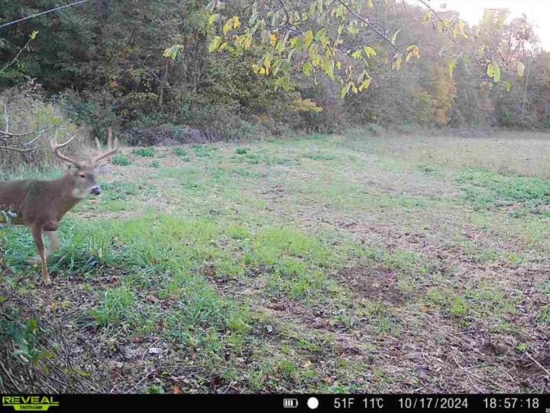 0 County Road 5 , Zanesfield, OH 43360 Photo 133