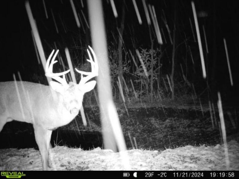 0 County Road 5 , Zanesfield, OH 43360 Photo 135