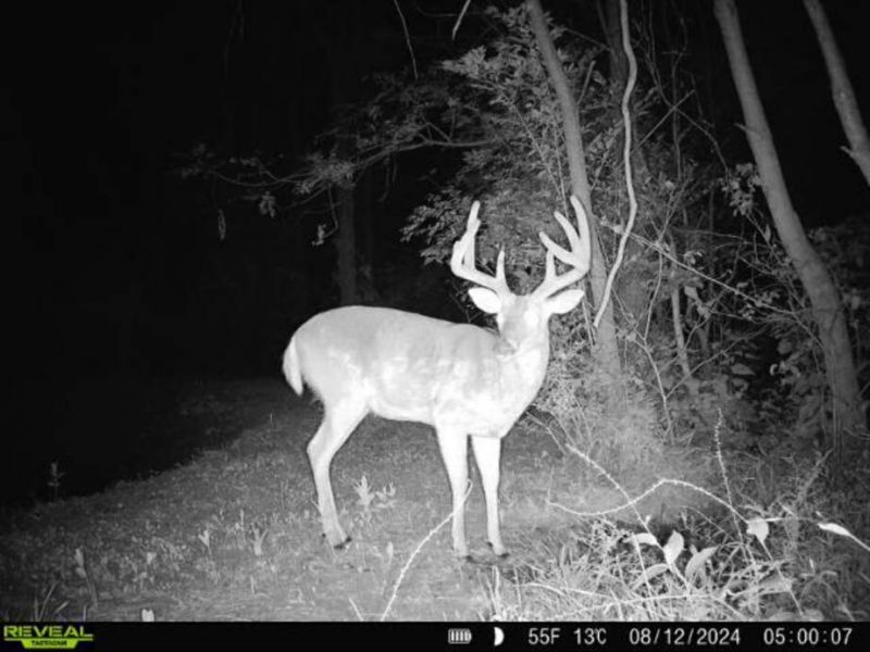 0 County Road 5 , Zanesfield, OH 43360 Photo 138