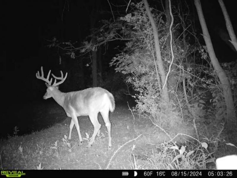 0 County Road 5 , Zanesfield, OH 43360 Photo 139