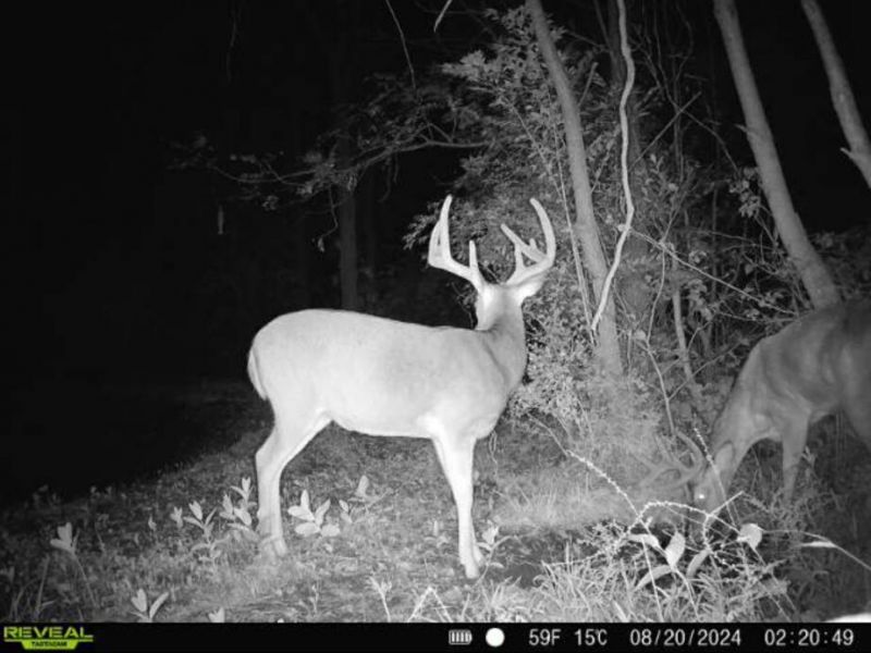 0 County Road 5 , Zanesfield, OH 43360 Photo 140