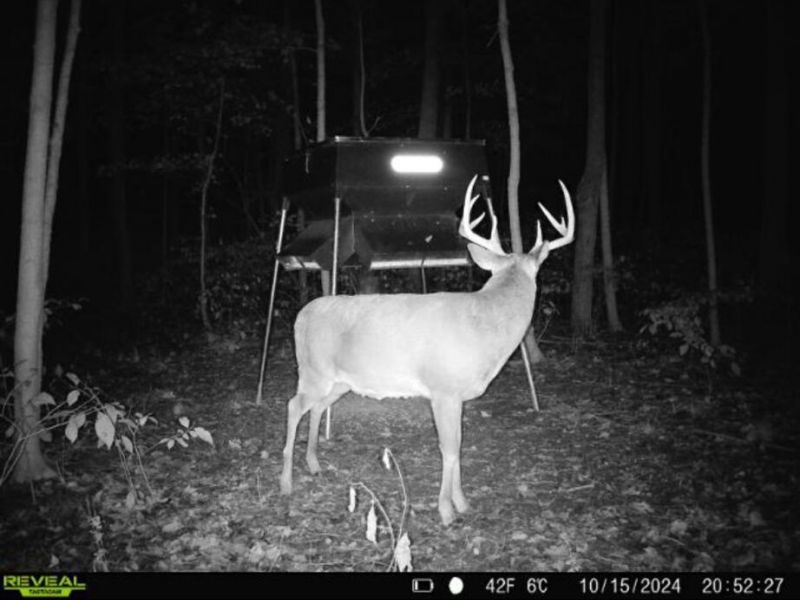 0 County Road 5 , Zanesfield, OH 43360 Photo 142