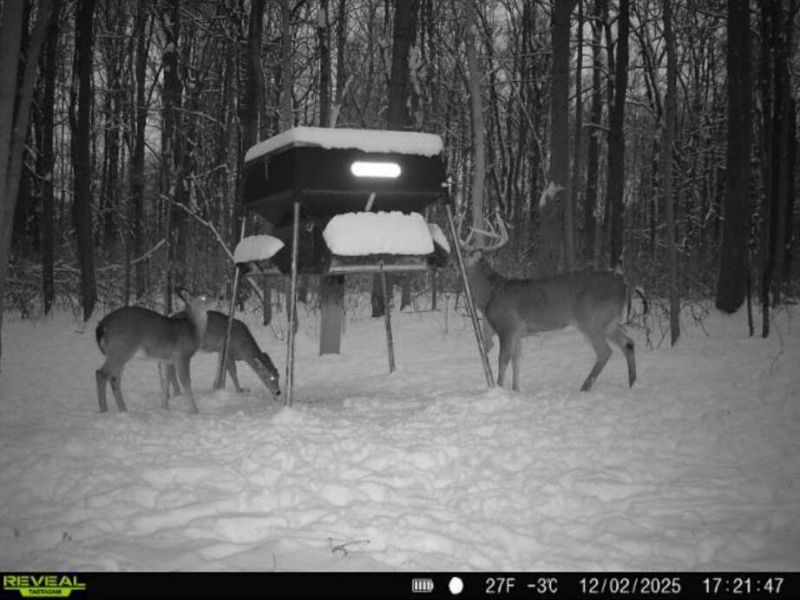 0 County Road 5 , Zanesfield, OH 43360 Photo 143