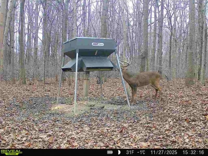 0 County Road 5 , Zanesfield, OH 43360 Photo 145