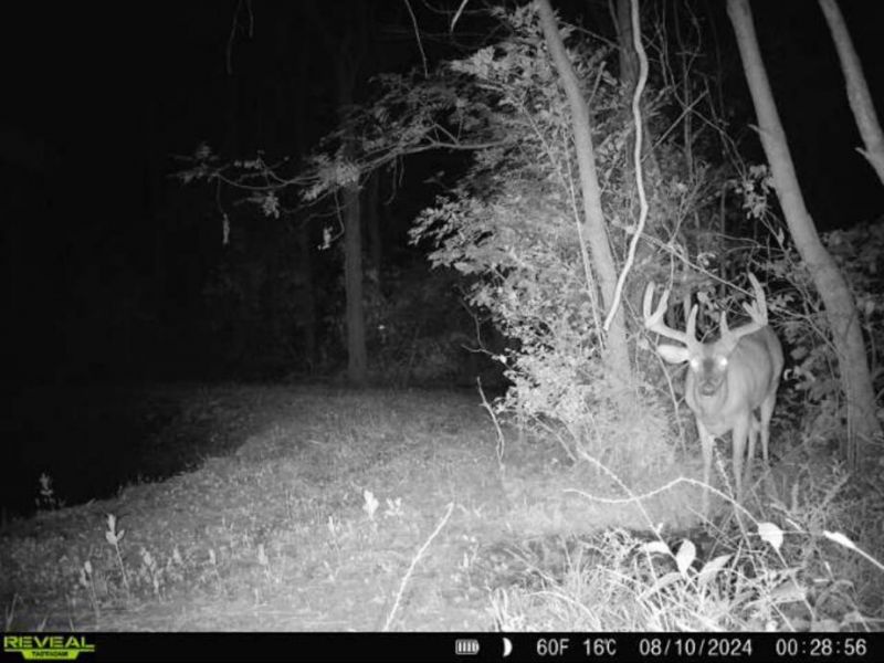 0 County Road 5 , Zanesfield, OH 43360 Photo 147