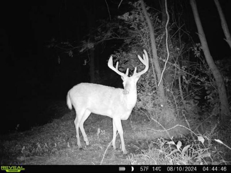 0 County Road 5 , Zanesfield, OH 43360 Photo 148