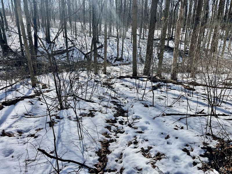 0 County Road 5 , Zanesfield, OH 43360 Photo 16