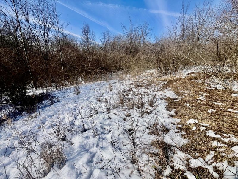 0 County Road 5 , Zanesfield, OH 43360 Photo 20