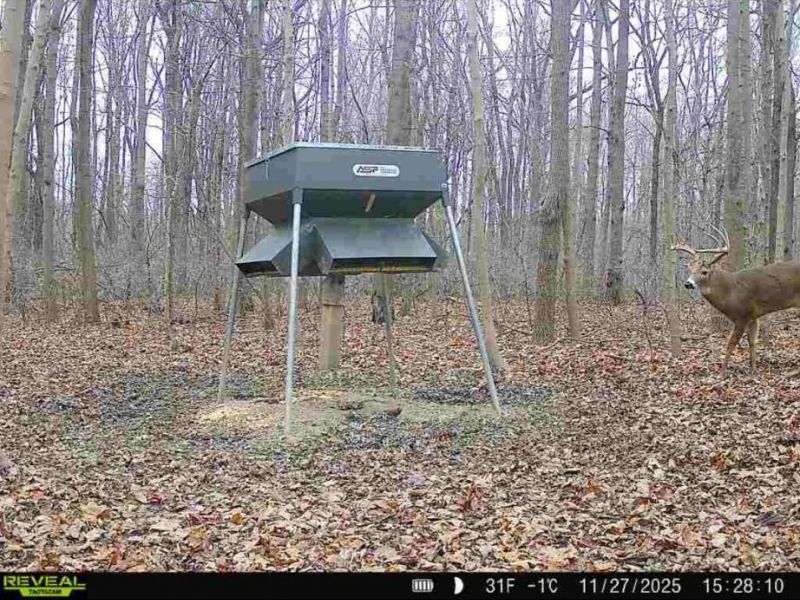 0 County Road 5, Zanesfield, OH 43360 Photo 23