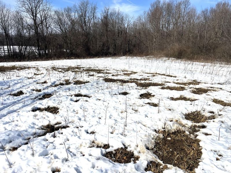 0 County Road 5 , Zanesfield, OH 43360 Photo 25