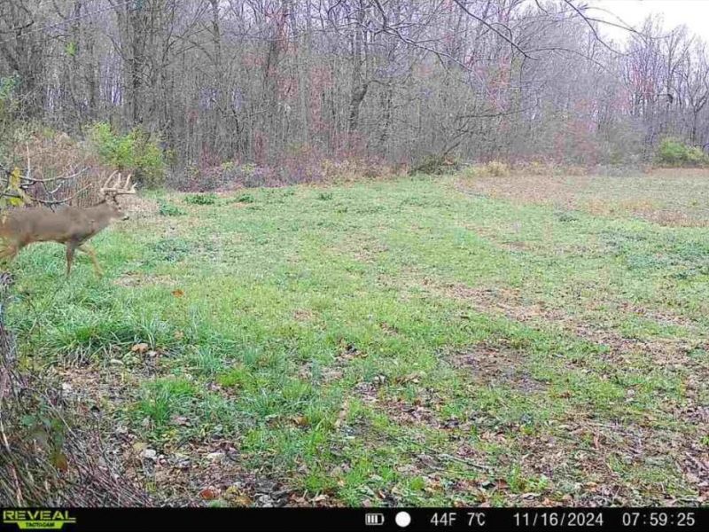 0 County Road 5, Zanesfield, OH 43360 Photo 27