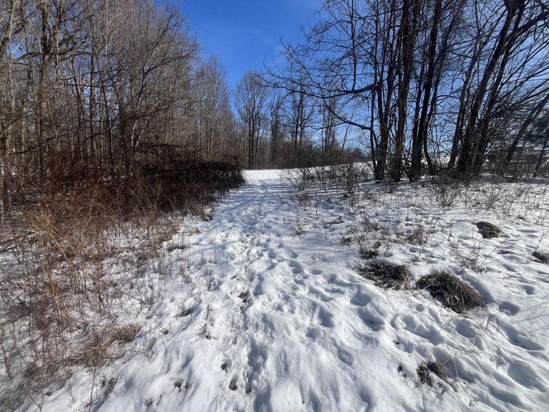 0 County Road 5 , Zanesfield, OH 43360 Photo 29