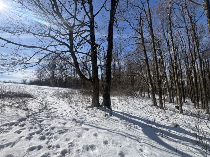 0 County Road 5 , Zanesfield, OH 43360 Photo 30