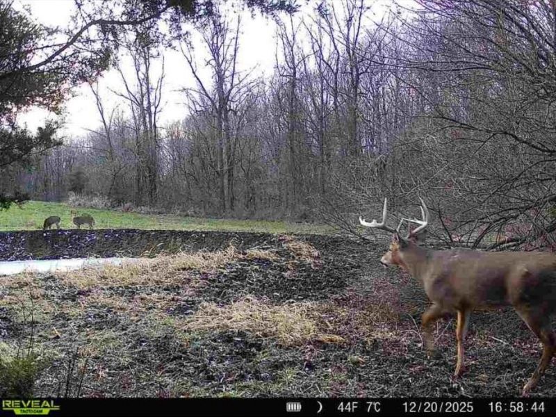 0 County Road 5, Zanesfield, OH 43360 Photo 31