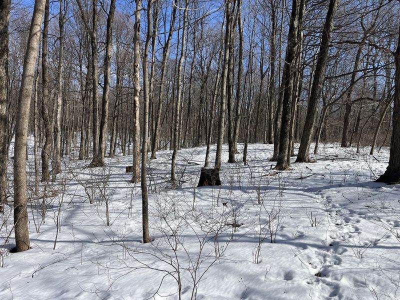 0 County Road 5 , Zanesfield, OH 43360 Photo 32