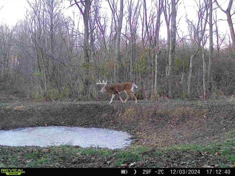 0 County Road 5, Zanesfield, OH 43360 Photo 33