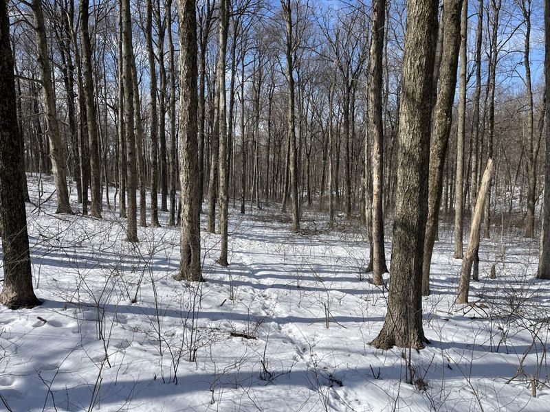 0 County Road 5 , Zanesfield, OH 43360 Photo 33