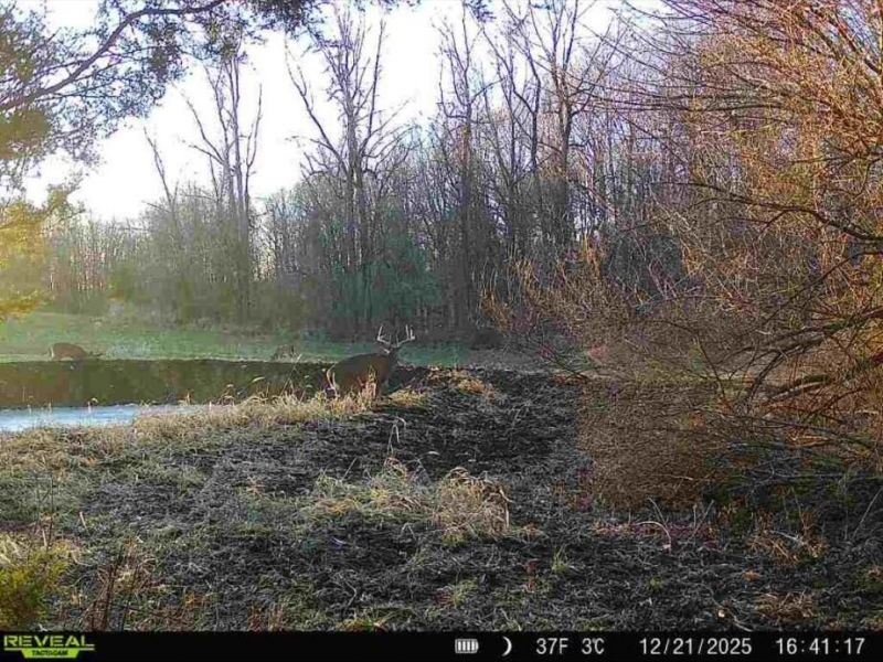 0 County Road 5, Zanesfield, OH 43360 Photo 34