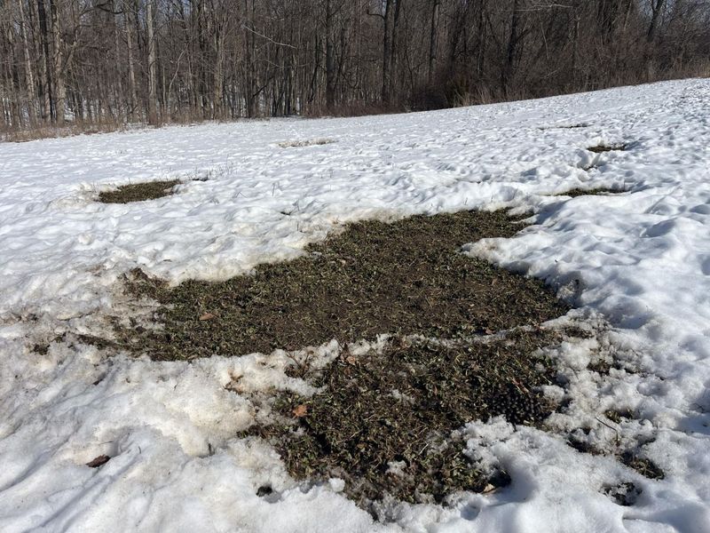 0 County Road 5 , Zanesfield, OH 43360 Photo 34