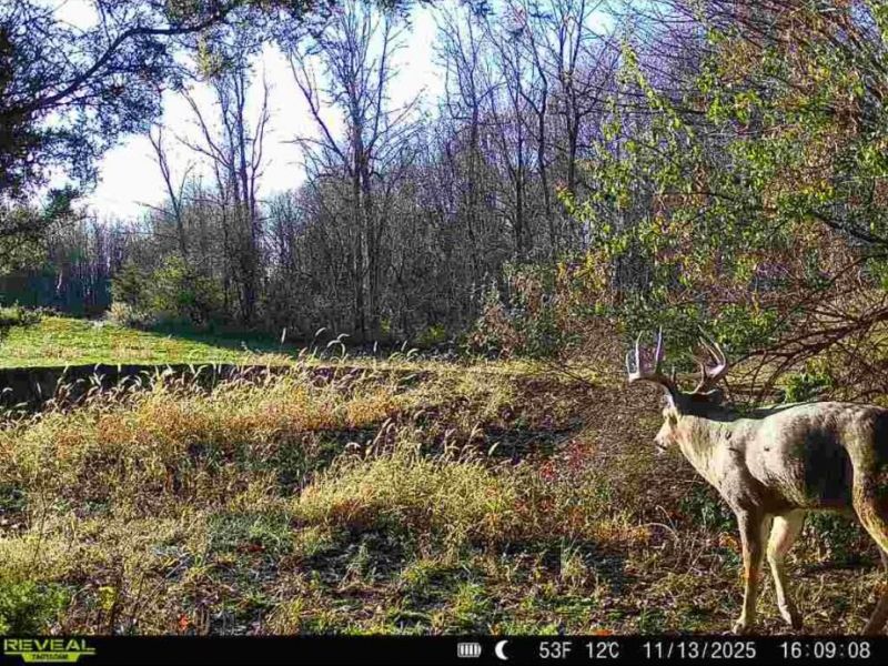 0 County Road 5, Zanesfield, OH 43360 Photo 35