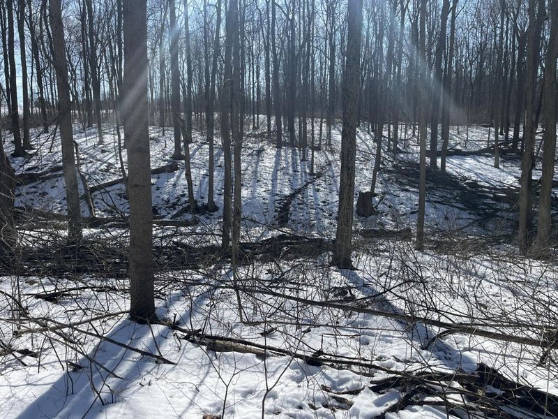 0 County Road 5 , Zanesfield, OH 43360 Photo 38