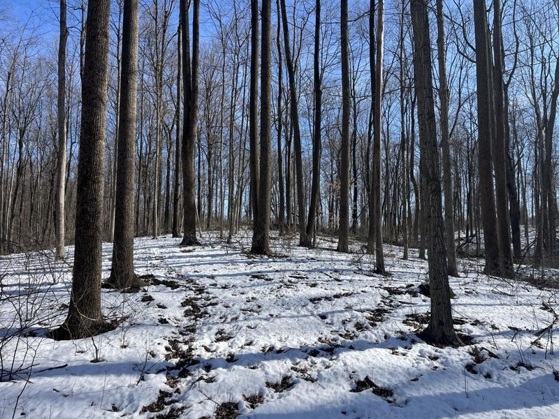 0 County Road 5 , Zanesfield, OH 43360 Photo 39