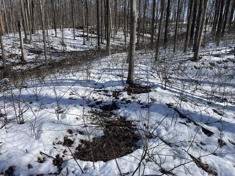 0 County Road 5 , Zanesfield, OH 43360 Photo 40