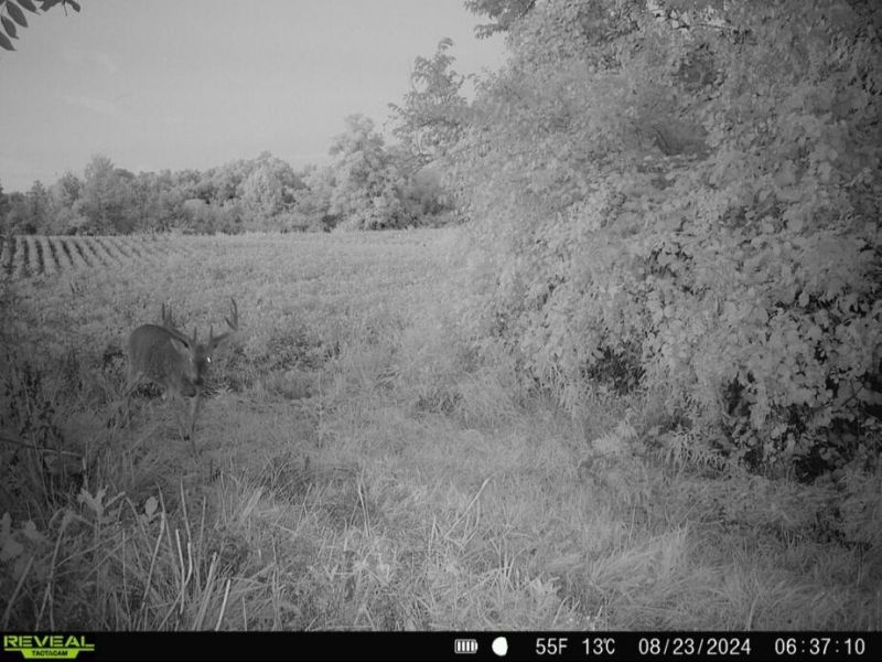 0 County Road 5, Zanesfield, OH 43360 Photo 41