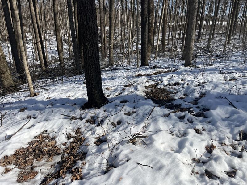 0 County Road 5 , Zanesfield, OH 43360 Photo 41