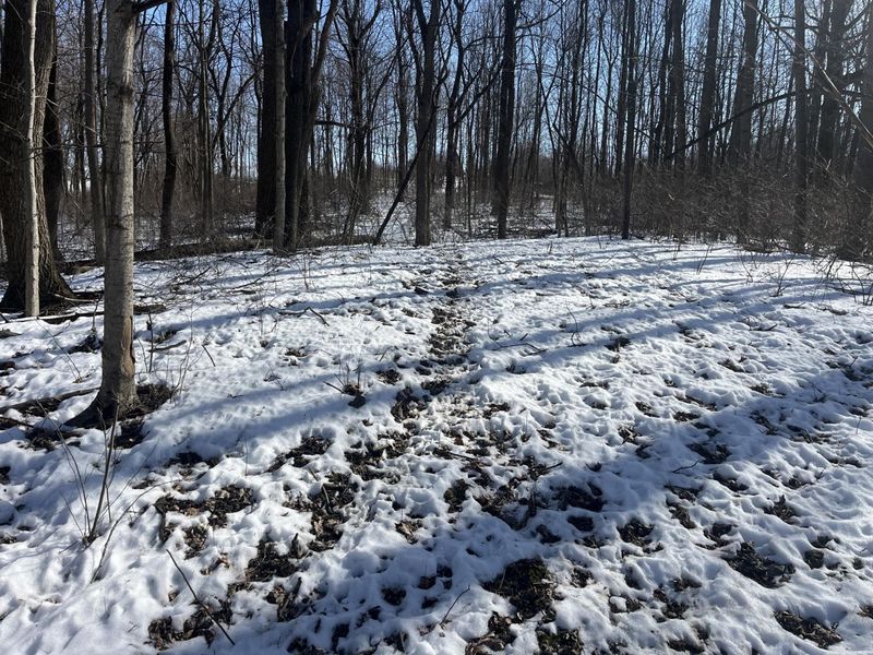 0 County Road 5 , Zanesfield, OH 43360 Photo 42