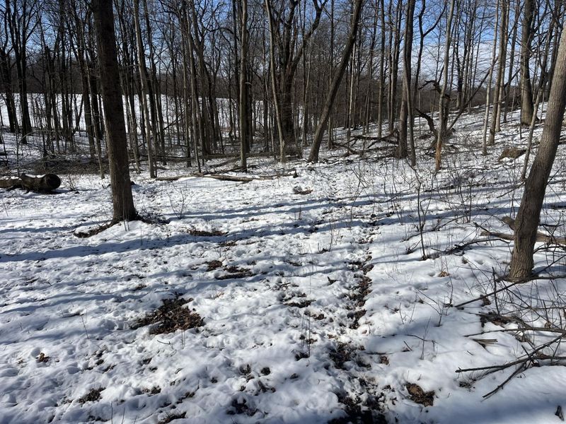 0 County Road 5 , Zanesfield, OH 43360 Photo 46