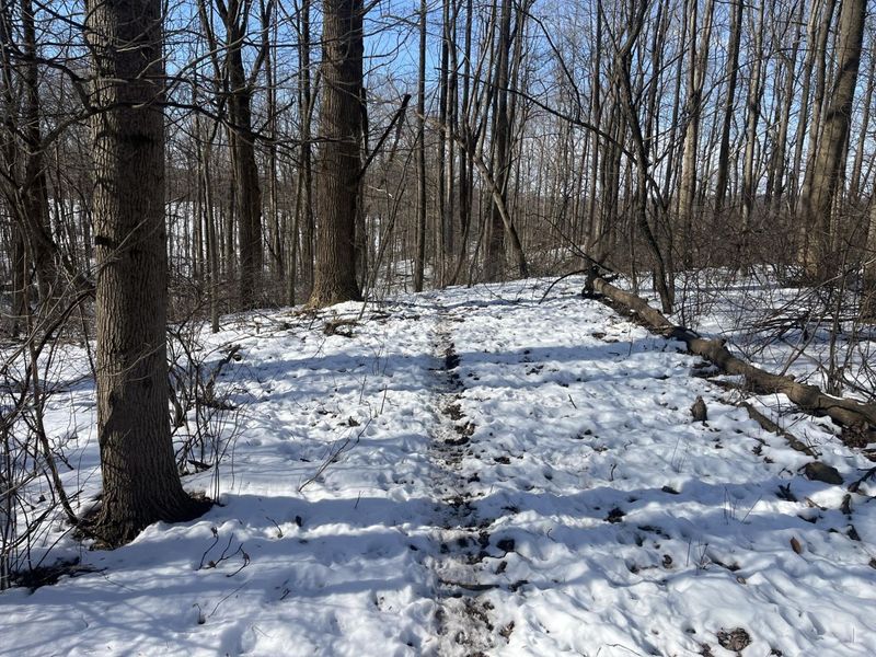 0 County Road 5 , Zanesfield, OH 43360 Photo 47