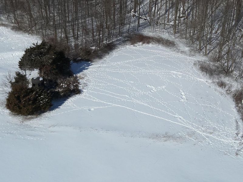 0 County Road 5 , Zanesfield, OH 43360 Photo 60