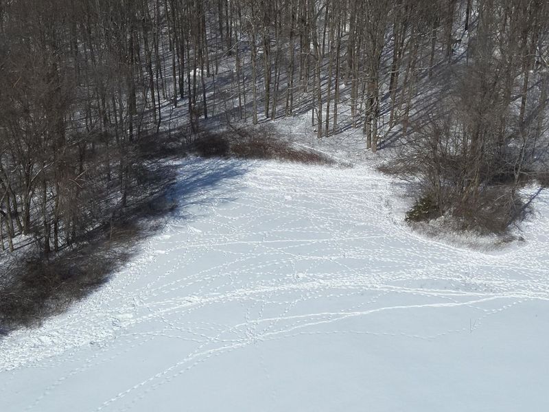 0 County Road 5 , Zanesfield, OH 43360 Photo 64