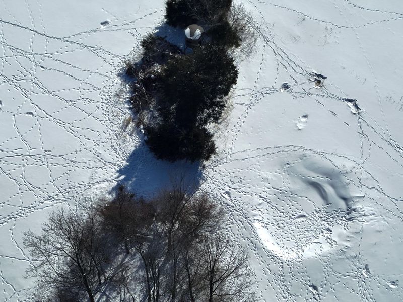 0 County Road 5 , Zanesfield, OH 43360 Photo 72