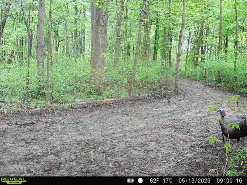 0 County Road 5 , Zanesfield, OH 43360 Photo 76