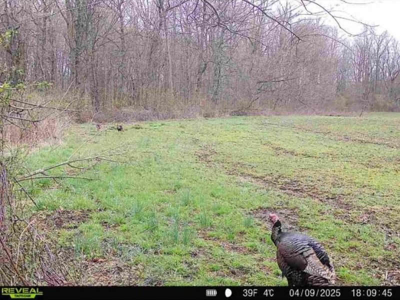 0 County Road 5 , Zanesfield, OH 43360 Photo 77