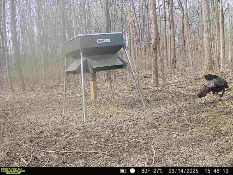 0 County Road 5 , Zanesfield, OH 43360 Photo 78