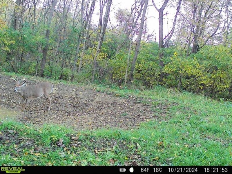 0 County Road 5 , Zanesfield, OH 43360 Photo 82