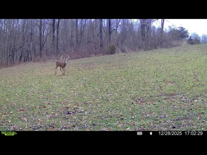0 County Road 5 , Zanesfield, OH 43360 Photo 83