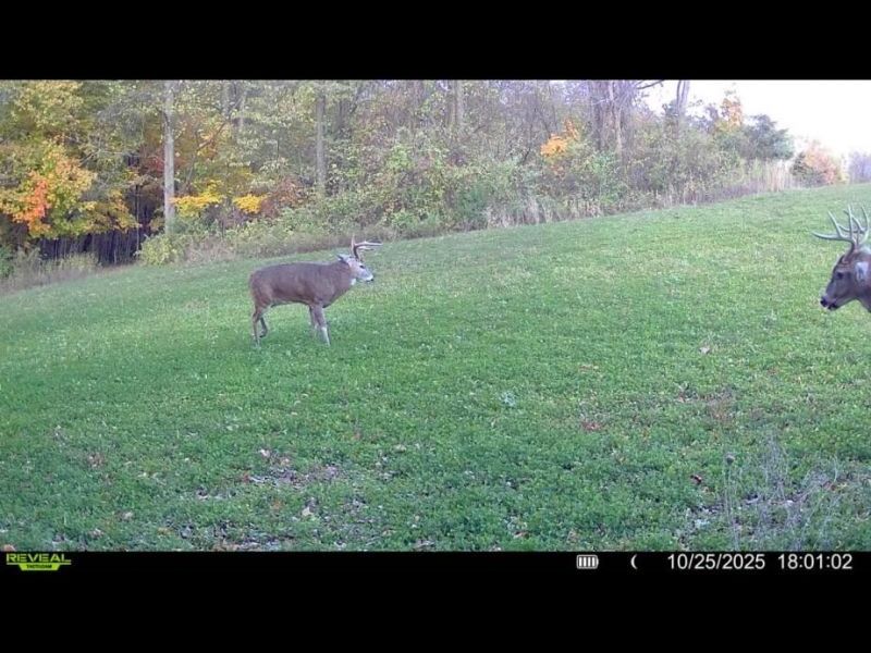 0 County Road 5 , Zanesfield, OH 43360 Photo 84