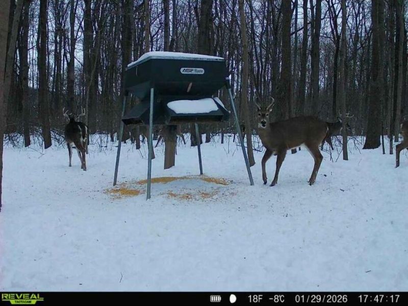 0 County Road 5 , Zanesfield, OH 43360 Photo 86