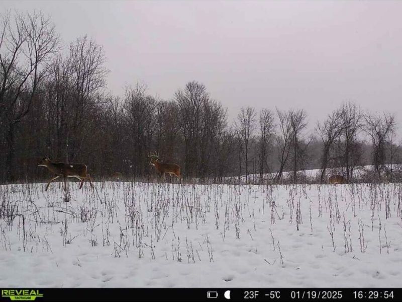 0 County Road 5 , Zanesfield, OH 43360 Photo 88