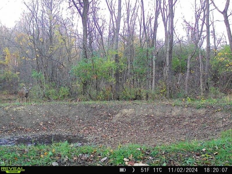 0 County Road 5 , Zanesfield, OH 43360 Photo 92