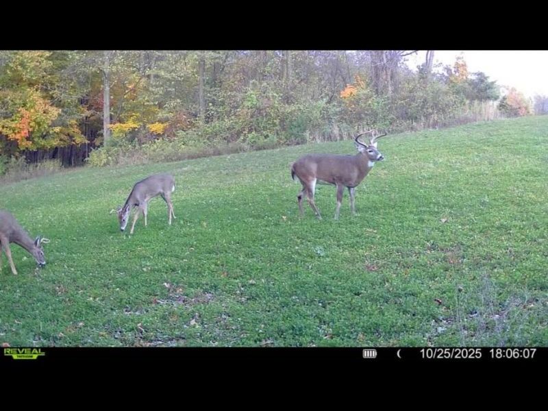 0 County Road 5 , Zanesfield, OH 43360 Photo 94