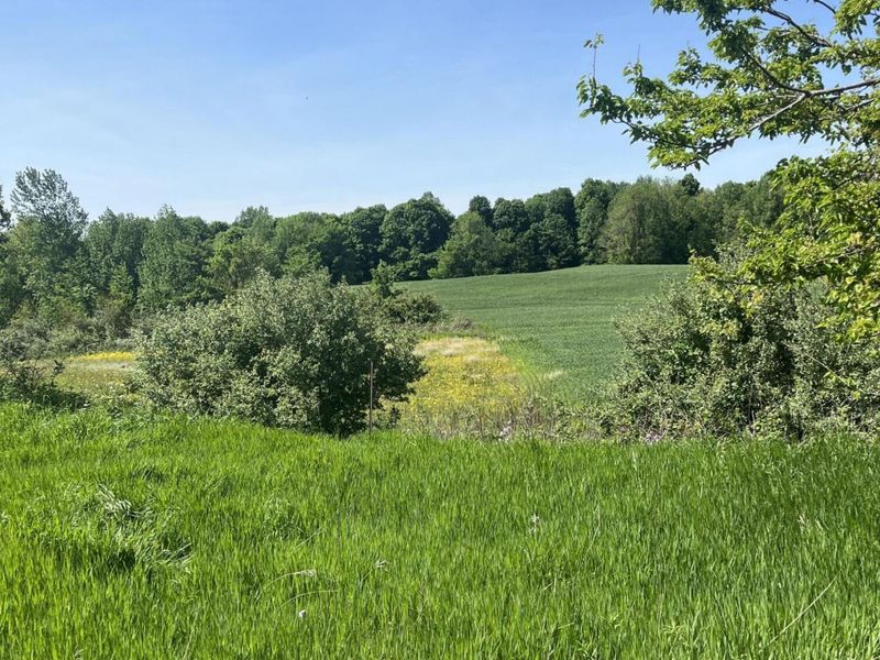 0 County Road 5, Zanesfield, OH 43360 Photo 96