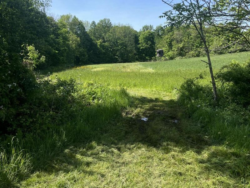 0 County Road 5, Zanesfield, OH 43360 Photo 98